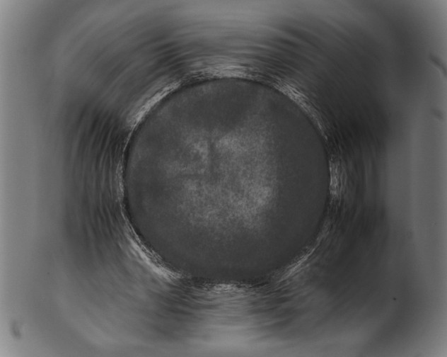 X0000100860390200807111258