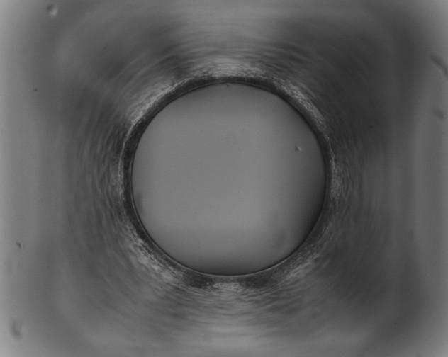 X0000100860391200807111258