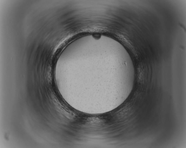 X0000100860392200807111258