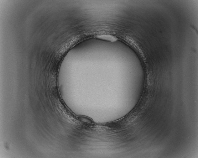 X0000100860393200807111258