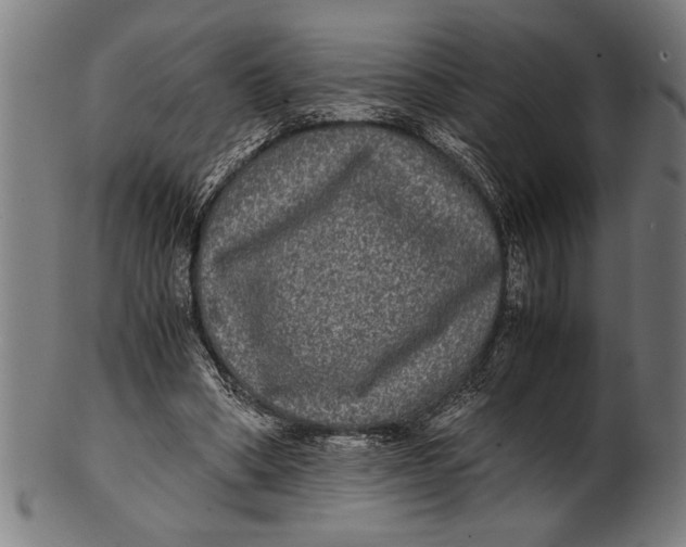 X0000100860394200807111258