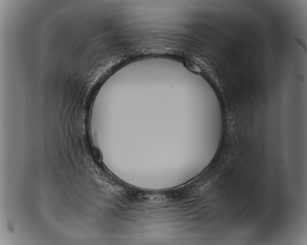 X0000100860395200807111258