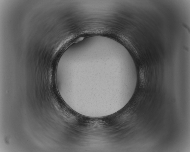 X0000100860396200807111258