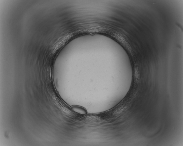 X0000100860397200807111258