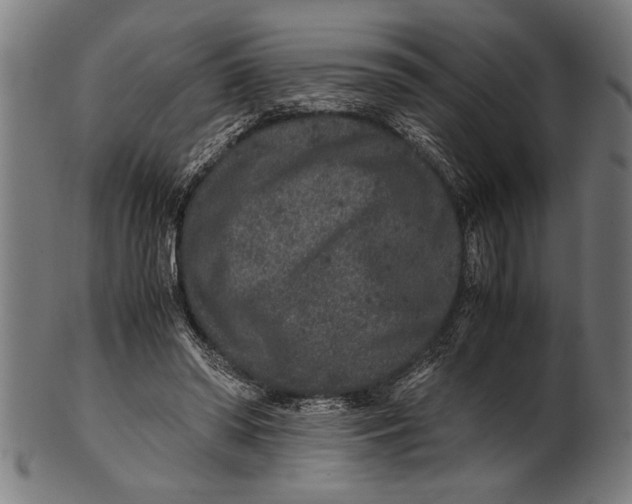 X0000100860398200807111258