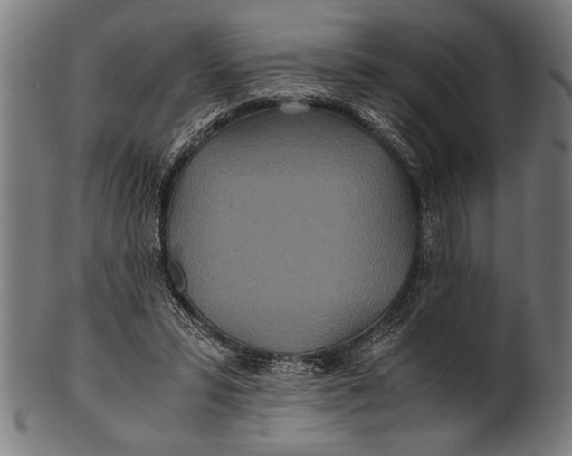 X0000100860399200807111258