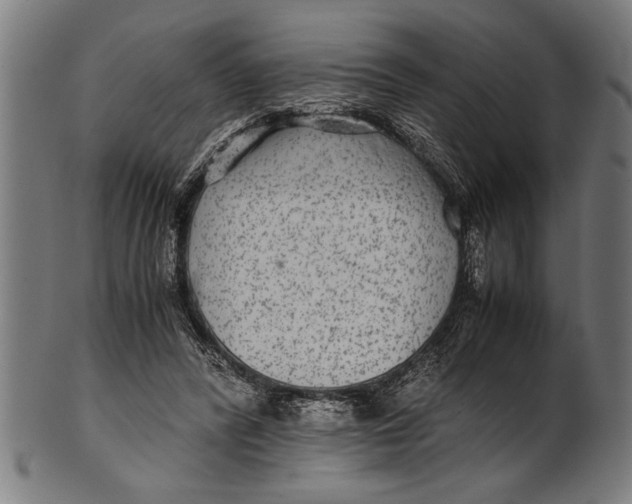 X0000100860400200807111258