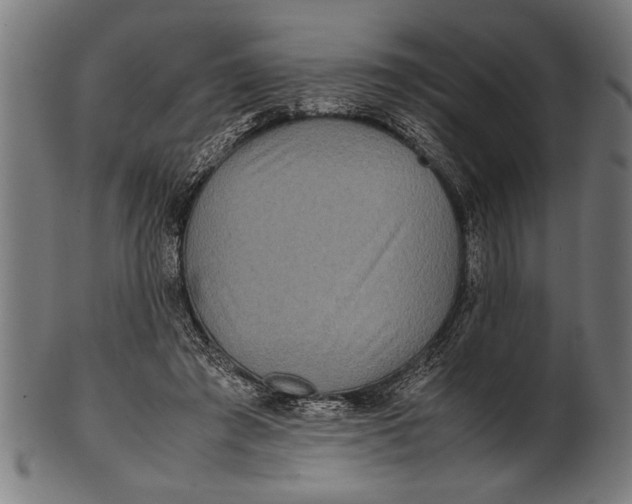 X0000100860401200807111258