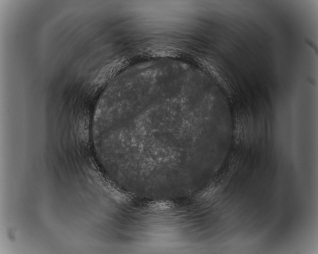 X0000100860402200807111258