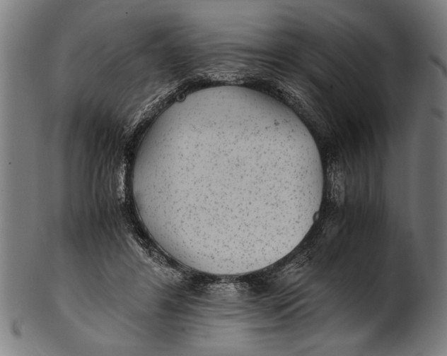 X0000100860404200807111258