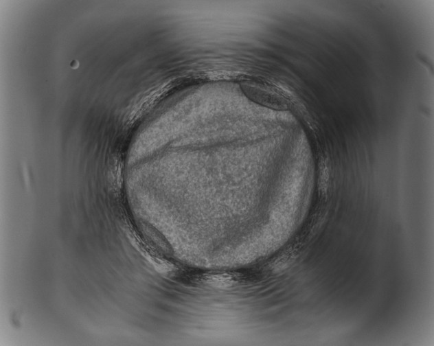 X0000100860405200807111258