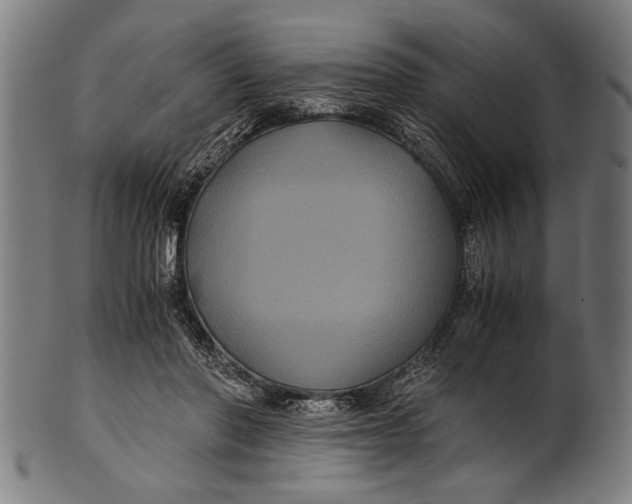 X0000100860406200807111258