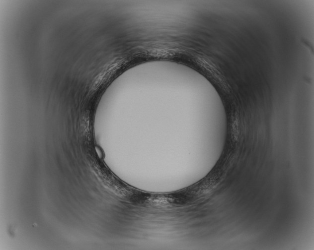 X0000100860407200807111258