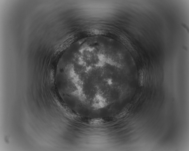 X0000100860410200807111258