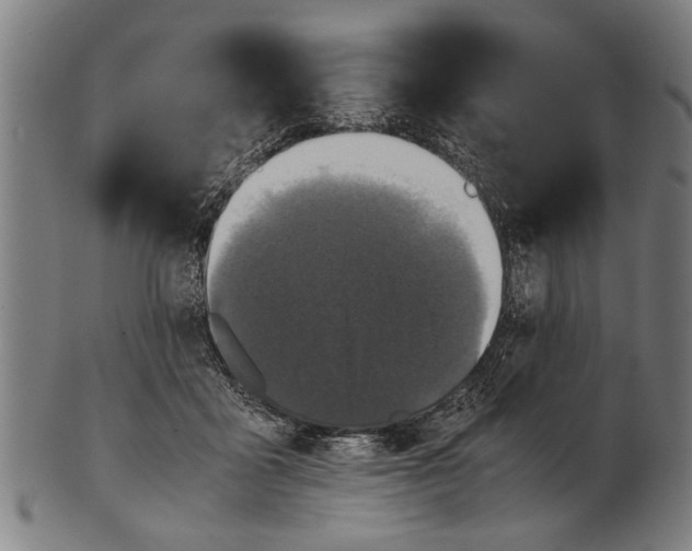 X0000100860411200807111258