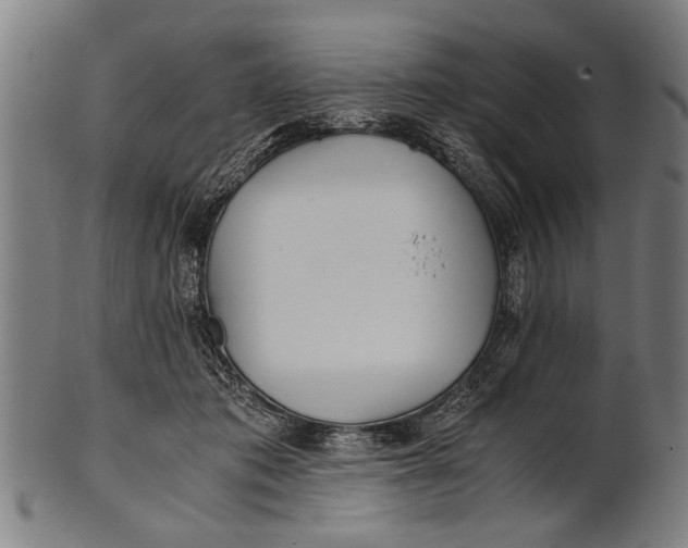 X0000100860413200807111258