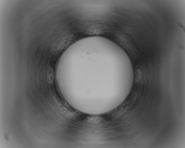 X0000100860414200807111258