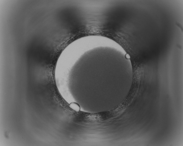 X0000100860415200807111258