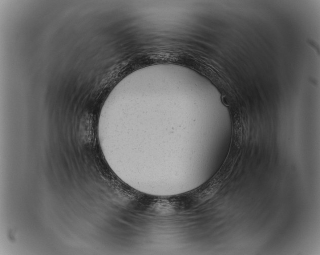 X0000100860416200807111258