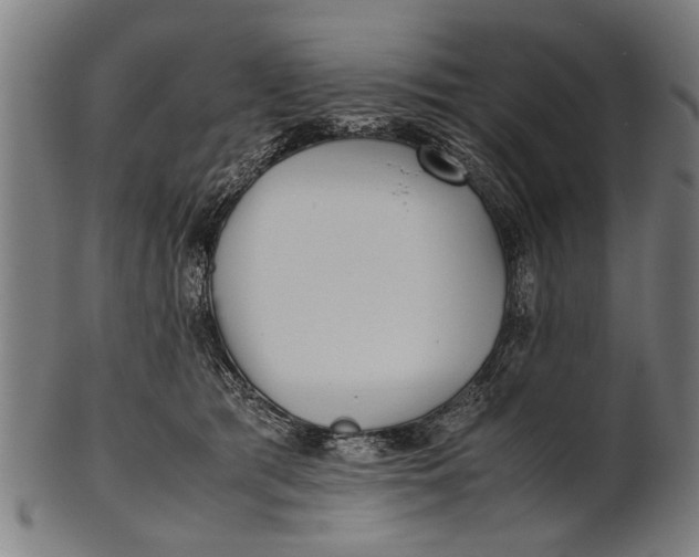 X0000100860417200807111258