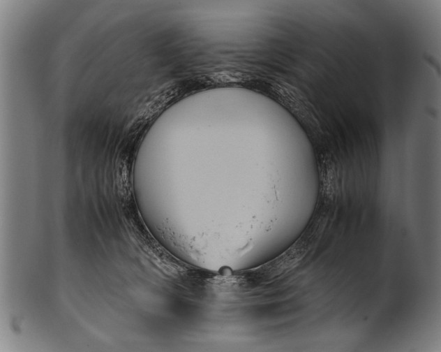 X0000100860418200807111258