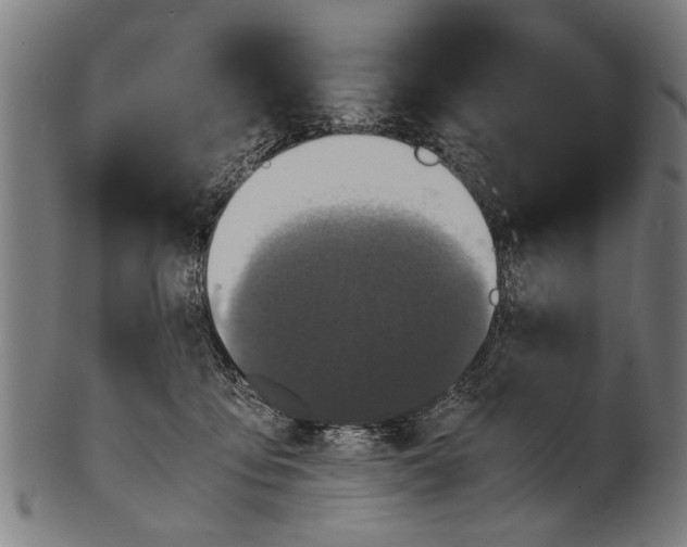 X0000100860419200807111258