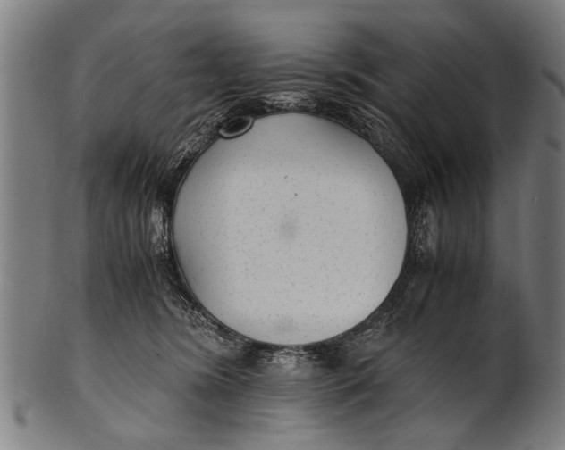 X0000100860420200807111258