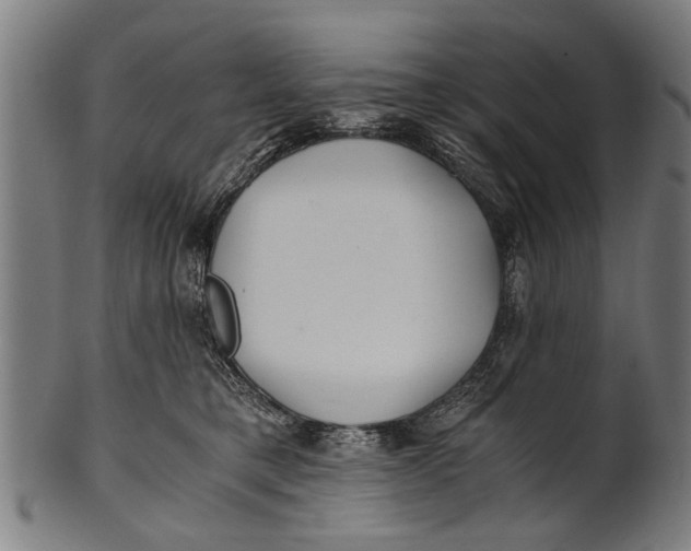 X0000100860421200807111258