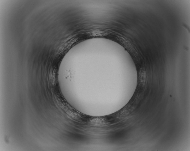 X0000100860422200807111258