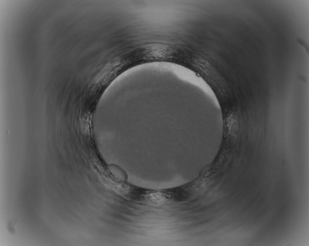 X0000100860423200807111258