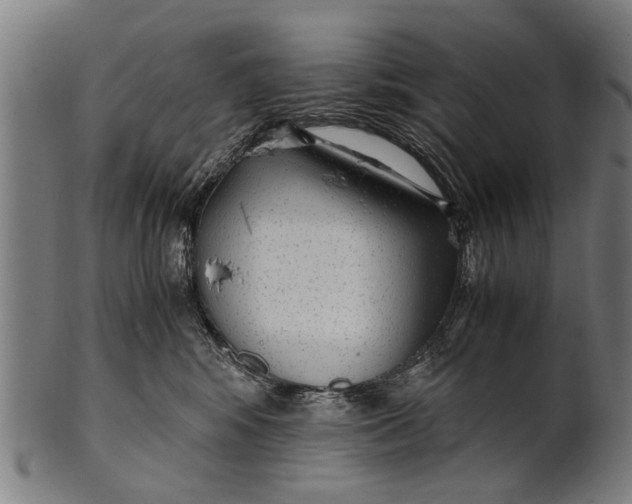 X0000100860424200807111258