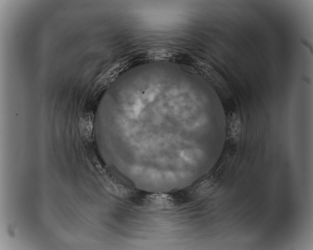 X0000100860427200807111258