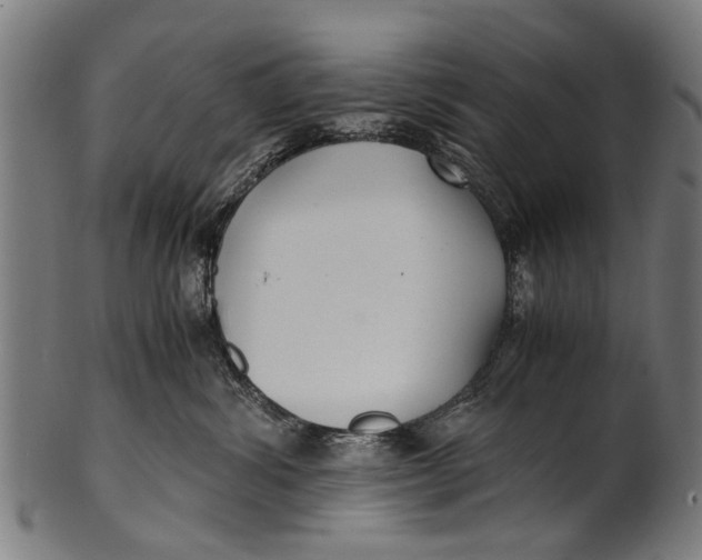 X0000100860428200807111258