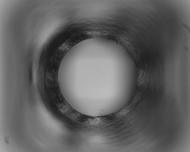 X0000100860430200807111257