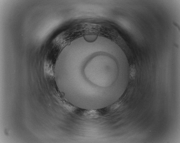 X0000100860431200807111257