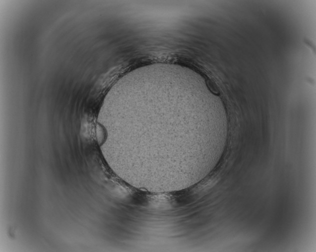 X0000100860432200807111257