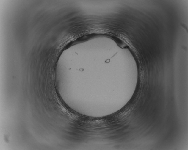 X0000100860433200807111257