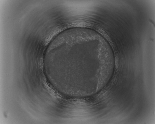 X0000100860434200807111257