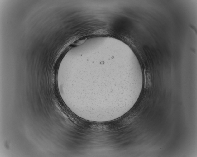 X0000100860435200807111257