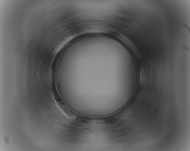 X0000100860436200807111257