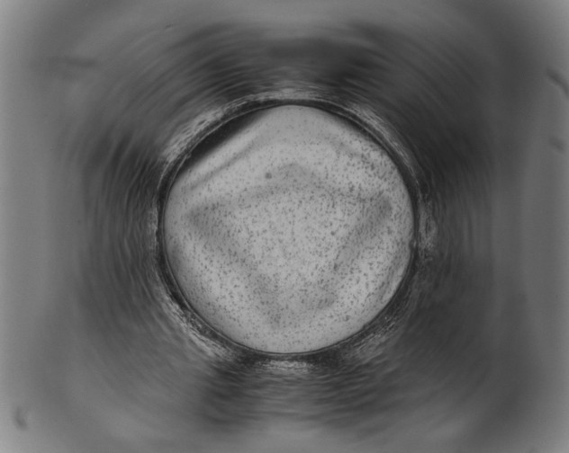 X0000100860437200807111257