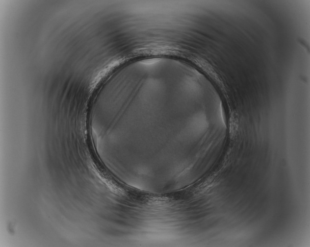 X0000100860438200807111257