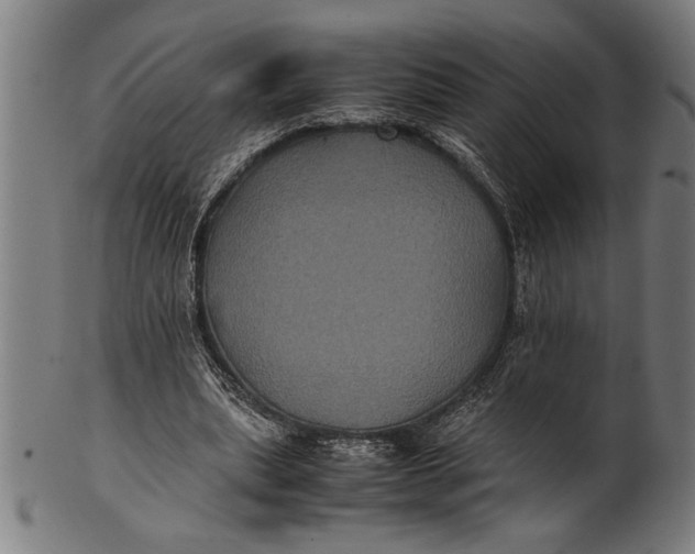 X0000100860439200807111257