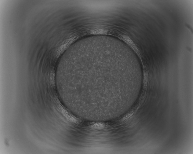 X0000100860441200807111257