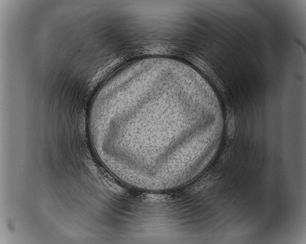 X0000100860442200807111257