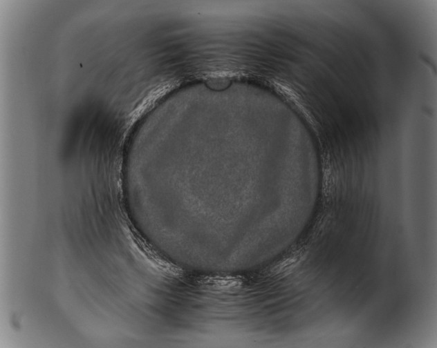 X0000100860443200807111257