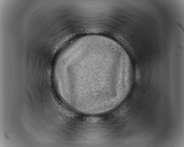 X0000100860444200807111257