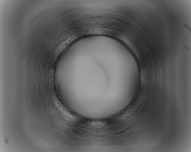 X0000100860445200807111257