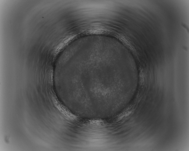 X0000100860446200807111257