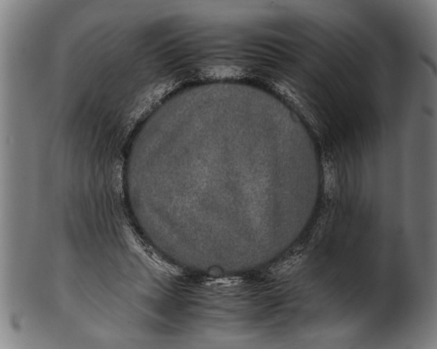 X0000100860447200807111257